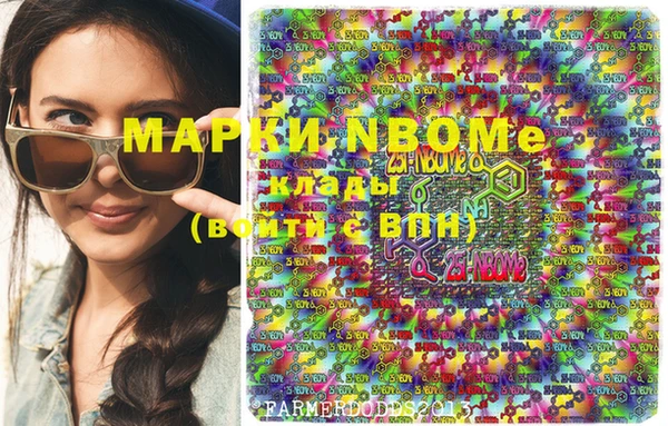 гидра Карпинск