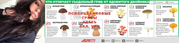 apvp Каменск-Шахтинский
