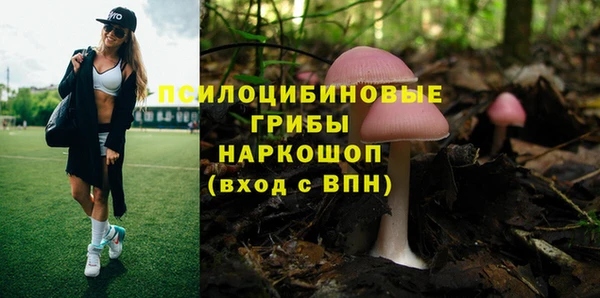 экстази Каменка