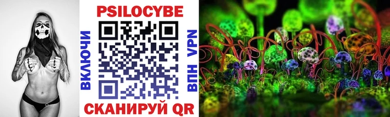 Псилоцибиновые грибы Psilocybine cubensis  Купить  Кемерово 